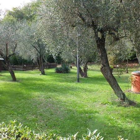 Gli Ulivi Bed & Breakfast Фосдиново Екстериор снимка
