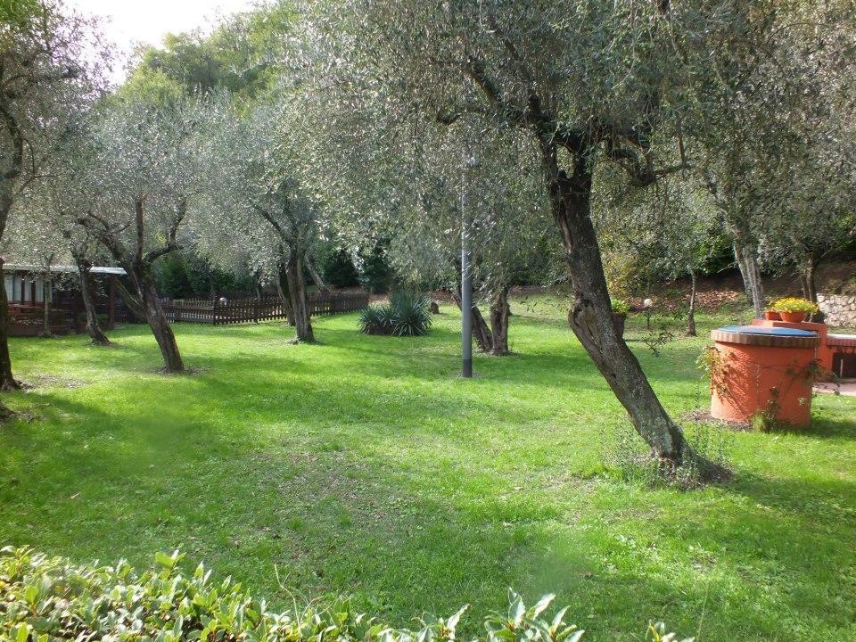Gli Ulivi Bed & Breakfast Фосдиново Екстериор снимка