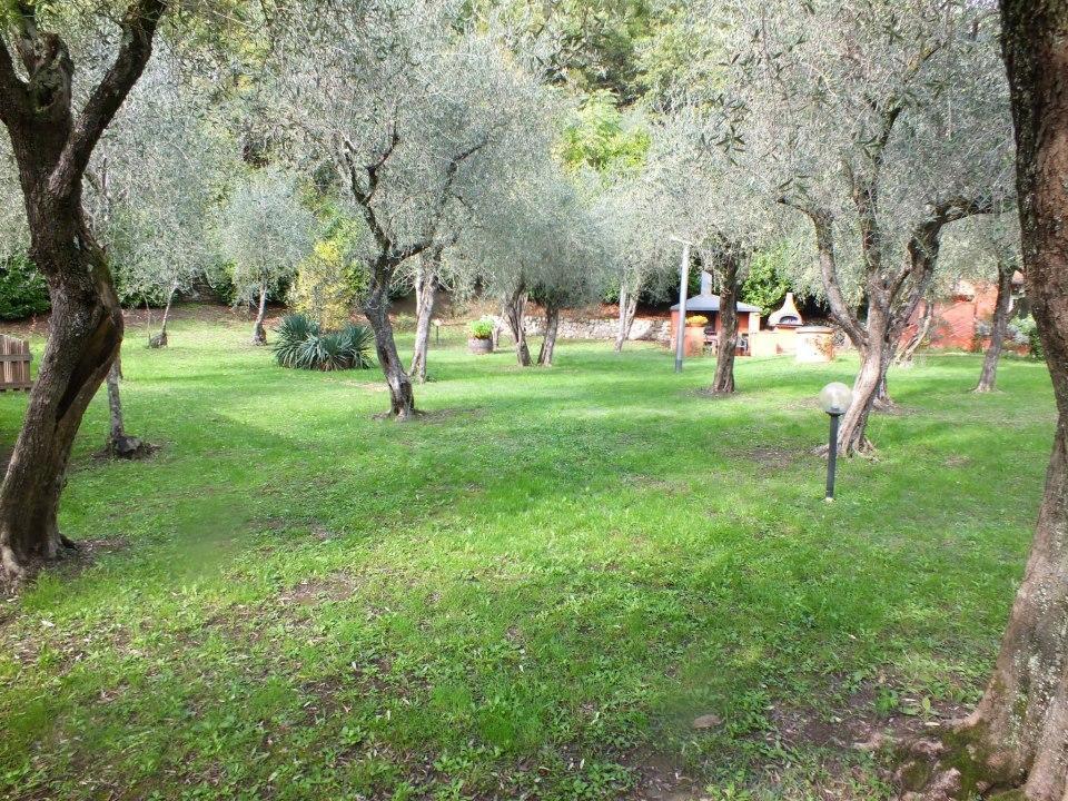 Gli Ulivi Bed & Breakfast Фосдиново Екстериор снимка